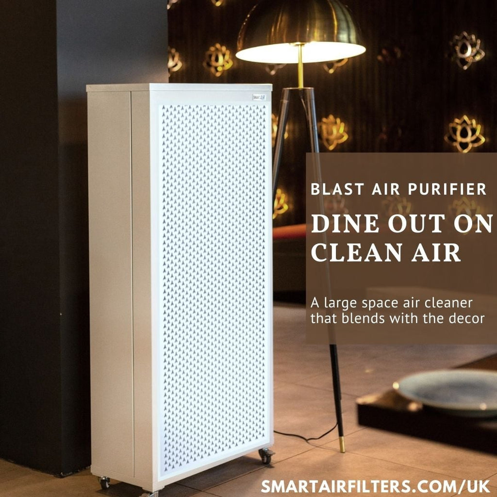 Blast Commercial Air Purifier image 7